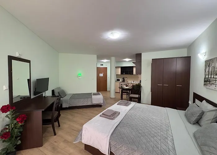 Sun Palace דירה *